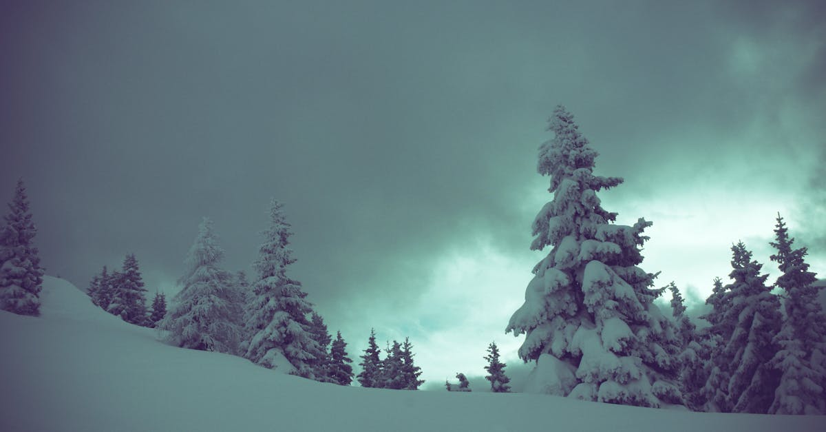 découvrez la puissance et la beauté du silence, son impact sur le bien-être, la créativité et la qualité de vie. explorez ses bienfaits et apprenez comment l'intégrer au quotidien.